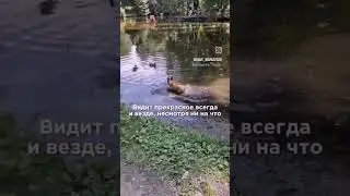 Счастье  в мелочах.Нужно только разглядеть его #марусяяценко #покушение #дети #Трамп #счастье #сма