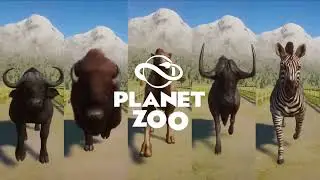 Horse Category Race in Planet Zoo included Zebra, Buffalo, Camel, Wildebeest and etc