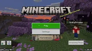 Minecraft bedrock glitch