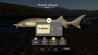 RF4 Russian Fishing 4 | Sturgeon & Float fish Tunguska River