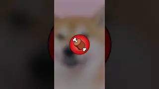 What is Shiba Inu? Shiba Inu Explained + Bone + Leash