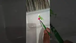 colour mixing green 💚 + pink 🩷 , 💚+🩷=??