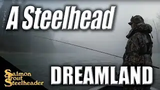 A Steelhead Dreamland