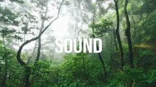 Chiccote's Beats - lonely