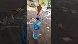 Ini yang kalian cari, TIK TOK Viral bawang Thailand  / Wong EE E E Wong E E E