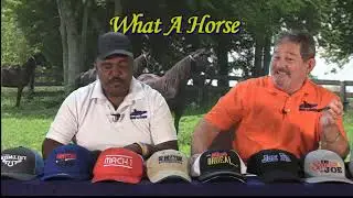 What A Horse 2023 06-06-2023