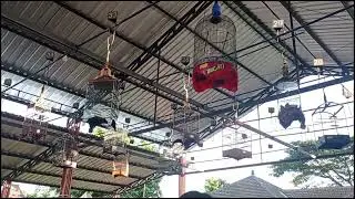Best Of The Best Ciblek di Anniversary CMJ #8