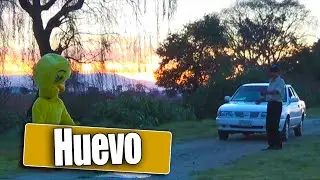 AVENTANDO HUEVOS!! BROMA