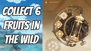 Collect 6 fruits in the wild - Core of the Apparatus Event Genshin Impact