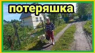 18/6 23 СНОВА ХОЛОДРЫГА. КУДА ДЕЛАСЬ ЗОЯ? НЕРВОТРЁПЩИЦА. ВОРОТИТ РЫЛО. БУДУ БИТЬ НОГАМИ.