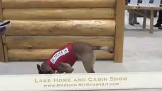 Madison Lake and Cabin Show