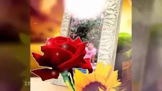 A.R.L. VIDEO.COM
