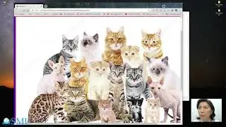Создание Web-страниц с использованием HTML