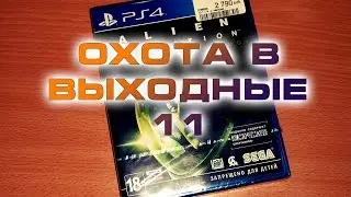 Охота в выходные 11