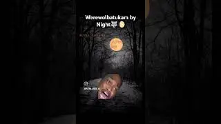 Werewolbatukam by Night #memes #funnymeme #ambatakum #dreamybull #yesking