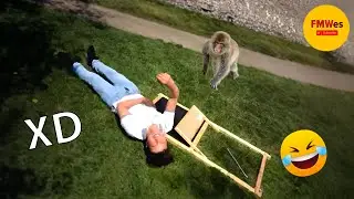 SI TE RÍES PIERDES NIVEL DIOS #186 🤣 [999.99% IMPOSIBLE NO REÍRSE] 😎VIDEOS DE RISA
