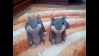 Говорящие хомяки ругаются между собой! Купить говорящего хомяка׃ dostavka homyakov ru
