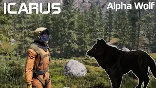Meeting My First Alpha Wolf - ICARUS - A Solo Playthrough