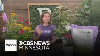 Flowering perennials may be your garden's 