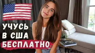 БЕСПЛАТНО УЧУСЬ В США | БЕЗ ЭКЗАМЕНОВ | учеба в Америке