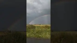 Такова горькая правда жизни... #лето #саморазвитие #топ #бизнес