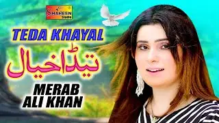 Teda Khayal Rahnday | Meerab Ali Khan | ( Official Video ) | Shaheen Studio
