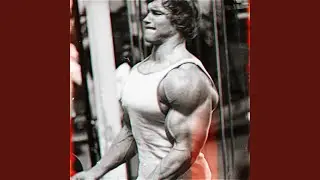 BULKING PHONK