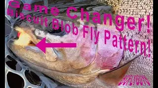 Biscuit Blob Fly Pattern Fly Tying Tutorial