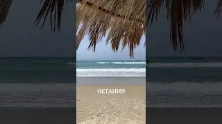 «Давайте себе лучшее из того, что только можете себе позволить!» - вспомнила я фразу из книги…