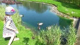 ГОЛОДНАЯ РЫБА! Жадные утки? Как мы провели ВЫХОДНОЙ! HUNGRY FISH! WEEKEND in a beautiful Place!