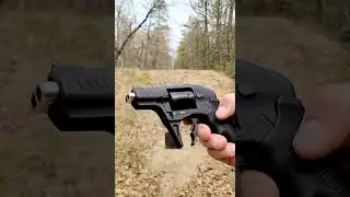 "Double Barrel" Revolver