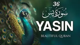 36 Surah Yaseen #quran #tilawat #viral #islam #allah #surahyaseen