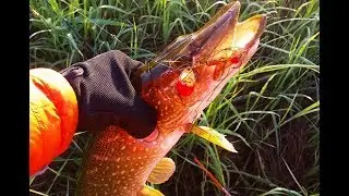 Анонс новых видео с рыбалки, скоро на канале