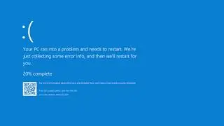 Chicken Screaming Has BSOD