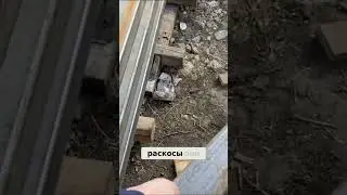 Як правильно виставити 