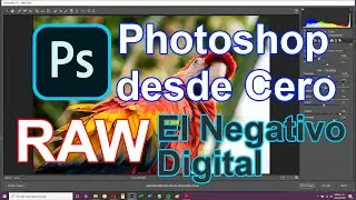 Curso Photoshop desde Cero. Cap 6. Revelado de archivos RAW (Negativo Digital)