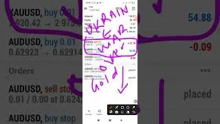Double Envelope Strategy