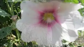 ДОМ У РЕКИ. Песни под гитару. Виталий Рыжинский. Автор исполнитель.