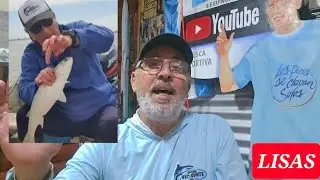 CÓMO PESCAR LISAS,CUANDO PICAN Y POR QUÉ CAUSA LO HACEN