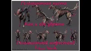 |Гельминтная киста|Как и где убрать|Гельминтный инфестоид|Warframe int.|