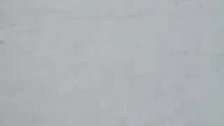 Отдам в хорошие руки