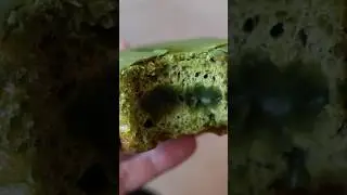 Matcha filled Donut in Starbucks