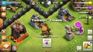 is this flower really friendly ?  🤔