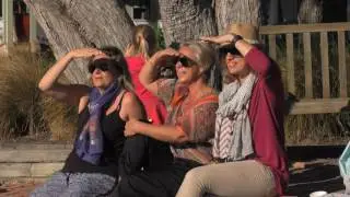 Geo AR Games featuring 