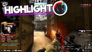 Válogatás 2021 legszebb jeleneteiből - Twitch Highlights