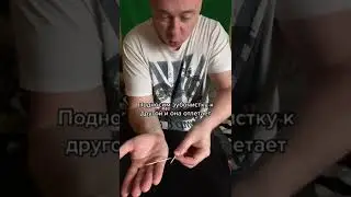 Фокус с зубочисткой/обучение