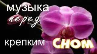 музыка 