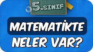 5. Sınıf Matematikte Neler Var? Matematik Dersine Nasıl Çalışır ❓