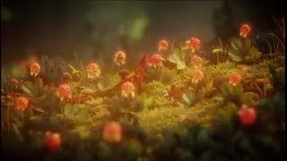 Unravel Chapter-3 Berry Mire All Puzzle Solutions