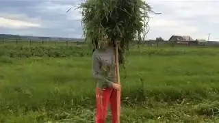 Авылда шул инде ул / 